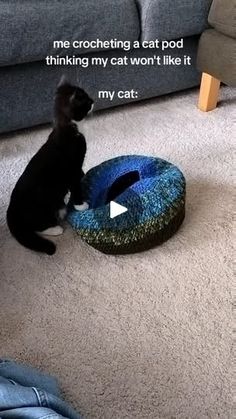 a black cat sitting on the floor next to a blue and green cat bed that says me crocheting a cat pod thinking my cat won't like it my cat