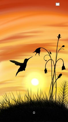 a sunset with birds flying in the sky and grass silhouetted against the setting sun