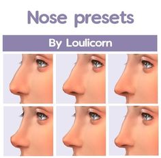 nose presets by lulicorn