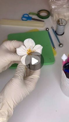 a person in white gloves holding a flower on top of a counter next to scissors and other items