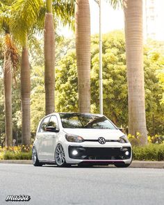 a white car parked on the side of a road next to tall trees and palm trees