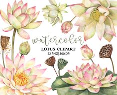 watercolor lotus clipart with flowers and butterflies