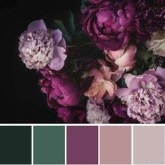 a bunch of flowers that are in some kind of color pallet with different shades