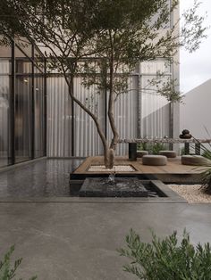 an outdoor living area with a tree and water feature