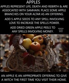 Wiccan Tips, Blessed Samhain, Shadow Book, Wiccan Sabbats, Hoodoo Spells, Magickal Herbs, Witch Cottage