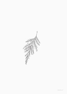 a black and white drawing of a branch