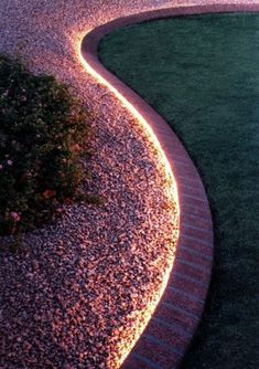 a garden path lit up with led lights