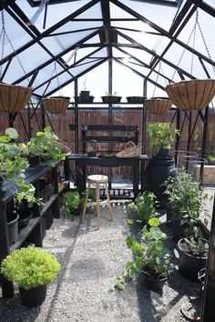 the inside of a greenhouse with plants and potted plants in pots on the ground