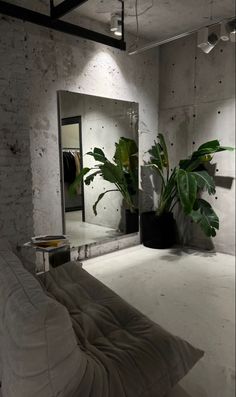 a room with a bed, mirror and plant in it