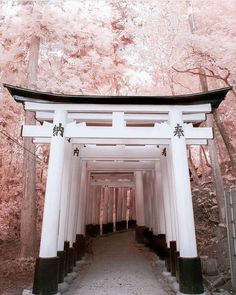 a white and black gate in front of trees with pink flowers on it's sides