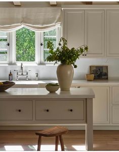 a kitchen with white cabinets and countertops has a potted plant on the island