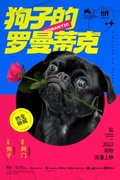 a poster with a dog holding a rose in it's mouth and looking up