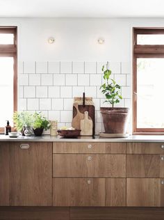 a kitchen with wooden cabinets and plants on the counter top in front of two windows