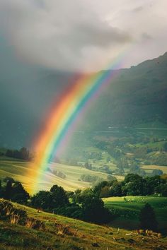 a rainbow in the sky over a lush green valley