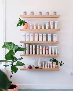 the shelves are filled with different types of personal care products