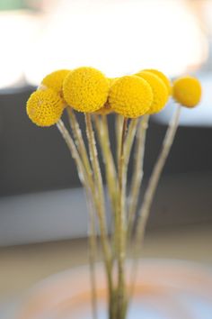 some yellow flowers are in a glass vase