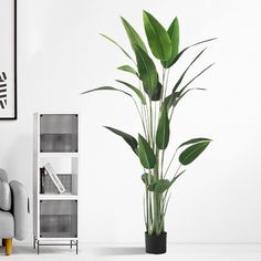 a large potted plant sitting on top of a white floor next to a gray couch