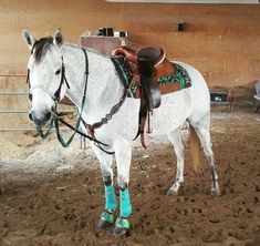 a white horse standing in the dirt with a saddle on it's head and bridle