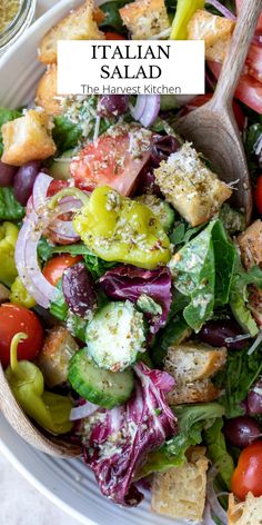 a salad with tomatoes, lettuce, cucumber, olives and parmesan cheese