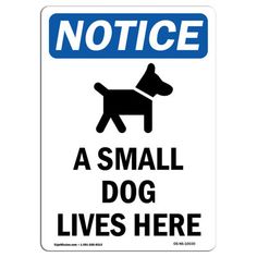 a small dog lives here sign with the words notice in blue and white on it