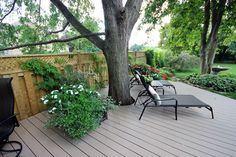 two lawn chairs sitting on top of a wooden deck next to a tree and flowers