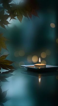 a lit candle sitting on top of a table next to some leaves and lights in the background