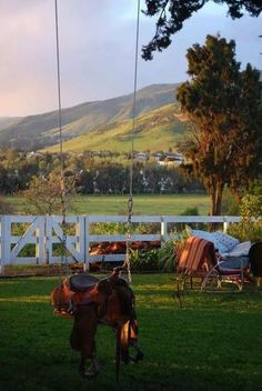 a brown horse standing on top of a lush green field next to a white fence