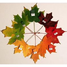 a clock made out of leaves with labels on them