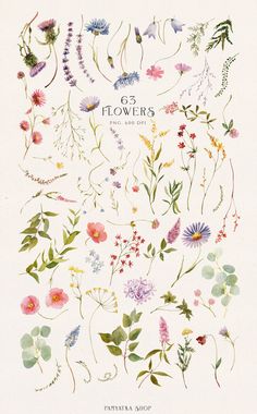 an illustrated book with flowers on it