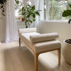 a white chair sitting in front of a window next to a large potted plant