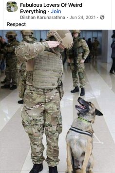 Military Service Dogs, Army Dogs, Dog Hero, Military Working Dogs, Military Dogs, Police Dogs, Best Pics, Military Heroes, Service Animal