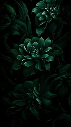 an image of green flowers on black background