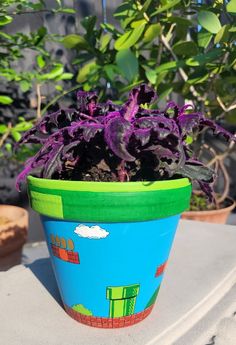 a potted plant sitting on top of a table