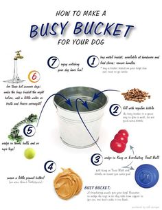 the instructions for how to make a busy bucket for your dog