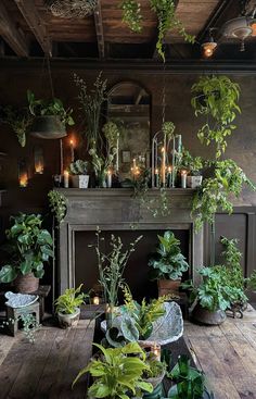 a living room filled with lots of plants and potted plants on top of a wooden table