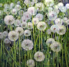 a painting of dandelions in the grass