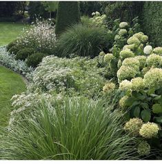 a garden filled with lots of green and white flowers next to a lush green lawn