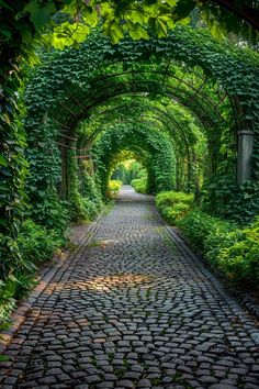 an archway with vines and cobblestones leads to a pathway in the middle of a lush green garden