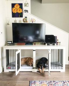 two dogs are laying in their kennels under the stairs next to the tv