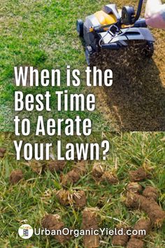 a lawn being mowed with the words when is the best time to aerate your lawn?