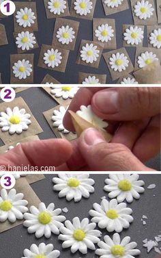 step by step instructions on how to make daisies out of cardboard and cut them into small pieces