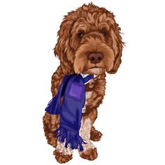 a brown dog with a blue scarf around its neck sitting and looking at the camera