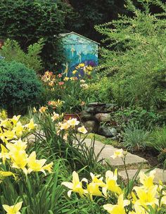 the garden is full of yellow flowers and green plants, including daffodils