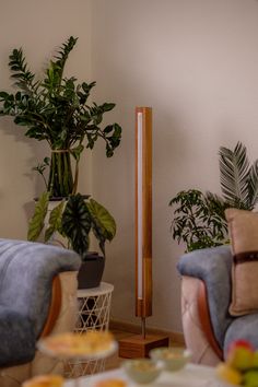 a living room with two blue couches and a potted plant in the corner