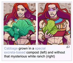 an image of a woman holding leaves in her hands and the caption reads cabbage grown in a special excreta - based compost left and without that mysterious white ranch right