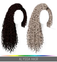 two wigs with curly hair are shown in three different colors and styles, one is brown