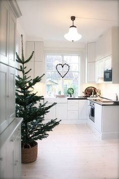 a small christmas tree in a white kitchen