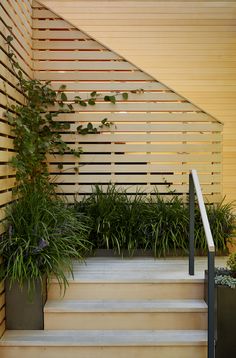 some plants are growing on the steps in front of a wall with wooden slats