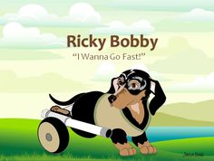 a cartoon dachshund riding on a skateboard with the caption ricky bobby i wanna go fast?