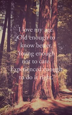 a quote from the book i love my age old enough to know better young enough not to care experienced enough to do it right